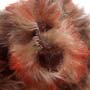 Thumbnail of Abednego