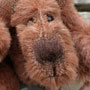 Thumbnail of Andy