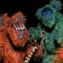 Thumbnail of Bearly Jazz