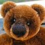 Thumbnail of Bertie