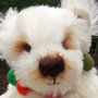 Thumbnail of Bobbles