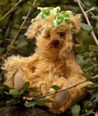 Photo of Chickpea