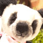 Thumbnail of Chimi
