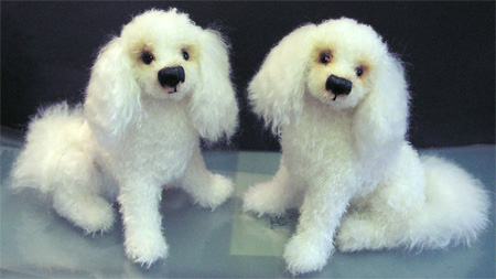 Photo of Fifi