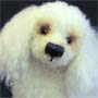Thumbnail of Fifi