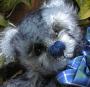 Thumbnail of 'lil Blue
