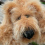 Thumbnail of Milos