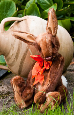 Picture of Radish