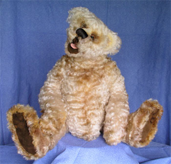 Photo of Simon