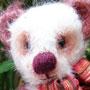 Thumbnail of Trott