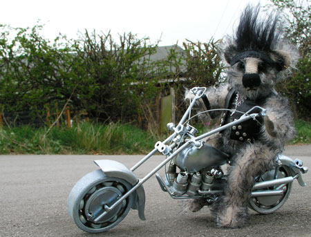 Photo of Wolf